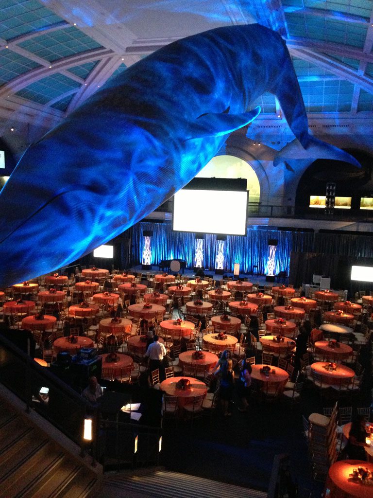 A large blue whale is above the tables of an event.